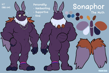 abs anklet anthro arthropod_abdomen barazoku barefoot biped bisexual_pride_colors blue_fingers blue_toes color_swatch feet front_view fur jewelry lgbt_pride male male_anthro muscular muscular_anthro muscular_male neck_tuft nude nude_anthro nude_male orange_wings pecs plantigrade pose pride_colors purple_body purple_fur purple_wings rear_view silver_bracelet solo standing tail tasteful_nudity text tuft wings trick_rex sonaphor_(sterling) arthropod insect lepidopteran moth 3:2 absurd_res artist_name digital_drawing_(artwork) digital_media_(artwork) english_text full-length_portrait hi_res model_sheet portrait
