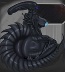 2024 alien alien_(franchise) anthro big_breasts big_butt black_body blue_lips blue_nipples breasts butt female glistening glistening_body hi_res huge_butt humanoid jitonajott lips nipples simple_background solo space tail thick_lips thick_thighs xenomorph
