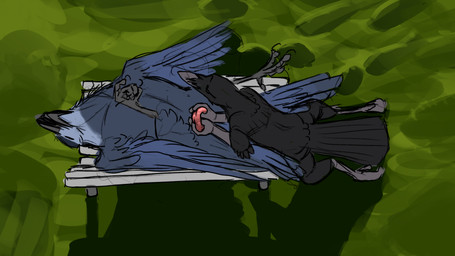 ambiguous_gender animal_genitalia anthro beak bench claws cloaca duo feathers feet feral genitals rictal_bristles wings einin avian bird corvid oscine passerine 16:9 4k absurd_res hi_res widescreen