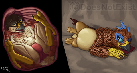 anthro anthro_prey beak blue_eyes brown_body brown_feathers cave claws clothing countershading duo feathered_wings feathers feet feral feral_pred fur internal looking_back lying male male_pred male_prey on_side orange_eyes panties paws pink_clothing pink_panties pink_underwear talons tan_body tan_feathers tan_fur toe_claws toes underwear vore wings doesnotexist mythology subscribestar lief_woodcock saewin accipiter accipitrid accipitriform avian bird eurasian_sparrowhawk gryphon mythological_avian mythological_creature true_hawk 2025 dated digital_media_(artwork) hi_res watermark