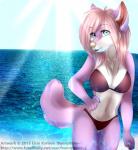 anthro blue_eyes breasts clothing female fur pink_body pink_fur solo swimwear bunnybuns roxy_bradingham canid canine canis mammal wolf hi_res