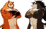 anthro balls biceps big_muscles black_body black_fur black_stripes crossed_arms duo flaccid fur genitals male markings multicolored_body multicolored_fur muscular muscular_male nude orange_body orange_fur penis pose pubes purple_eyes scar simple_background stripes two_tone_body two_tone_fur white_background white_body white_fur yellow_eyes drks sega shining_(sega) shining_wind raihi_(shining) rouen_(shining) canid canine canis felid mammal pantherine tiger wolf alternate_version_at_source colored hi_res