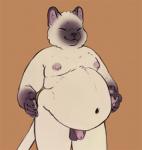 anthro balls belly belly_bounce belly_jiggle belly_squish circumcised claws deep_navel ear_tuft eyes_closed flaccid fur genitals hand_on_belly humanoid_genitalia humanoid_hands humanoid_penis jiggling male moobs navel nipples nude overweight overweight_anthro overweight_male paws penis simple_background smile solo squish standing tuft chubby-shark jameel domestic_cat felid feline felis mammal siamese 2019 2d_animation animated digital_media_(artwork) frame_by_frame low_res short_playtime