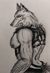 anthro bdsm bdsm_outfit body_hair breasts male nipple_piercing nipples piercing portupee solo alex_dellamortex canid canine canis gulonine mammal mustelid musteline wolf wolverine hi_res