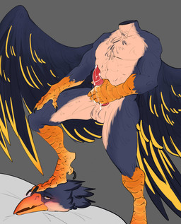 anthro blush countershade_neck countershade_torso countershading detachable detachable_head headless male masturbation solo stepping_on_head skwerna_timido avian bird falcon falconid hi_res