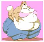 bottomwear bra clothing denim denim_bottomwear denim_clothing female jeans obese obese_female overweight overweight_female pants pink_bra pink_clothing pink_underwear simple_background smile solo underwear codymcdowd callie_(codymcdowd) domestic_cat felid feline felis mammal hi_res