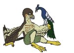 anthro avian_feet beak bottomwear brown_body brown_feathers brown_markings cheek_markings clothing facial_markings feathered_wings feathers feral head_markings male markings orange_markings pants sitting size_difference tail tail_feathers tan_body tan_feathers winged_arms wings yellow_eyes doesnotexist lief_woodcock accipiter accipitrid accipitriform avian bird eurasian_sparrowhawk galliform peafowl phasianid true_hawk digital_media_(artwork)