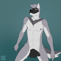 anthro areola balls black_areola black_balls black_penis blue_claws blue_eyes claws fur genitals grey_body grey_fur helicoptering_penis looking_at_viewer male nude penis smile smiling_at_viewer solo tail tail_motion tailwag yellow_sclera siberian4ahuininik cole_canine canid canine canis domestic_dog husky mammal nordic_sled_dog spitz 1:1 2024 2d_animation animated frame_by_frame hi_res