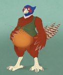 4_toes 5_fingers airborne_object anisodactyl anthro avian_feet beak belly big_belly biped blue_body blue_feathers bottomless brown_body brown_feathers button_(fastener) button_pop claws clothed clothing digitigrade eye_markings eyebrows feather_hands feathered_wings feathers featureless_crotch feet fingers green_background green_clothing green_topwear green_vest grey_claws hand_on_belly holding_belly looking_at_self looking_down male markings multicolored_body multicolored_feathers open_clothing open_topwear open_vest overweight overweight_anthro overweight_male partially_clothed pink_tongue raised_eyebrows red_body red_feathers red_markings scutes simple_background solo surprise tail tail_feathers tan_beak tan_body tan_feathers thick_thighs toe_claws toes tongue topwear unbuttoned vest wardrobe_malfunction weight_gain white_body white_feathers wide_eyed wide_hips wings yellow_eyes royalty_(artist) faisan_(foxcall) avian bird common_pheasant galliform phasianid phasianus 2020 dated digital_media_(artwork) hi_res shaded signature