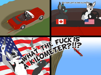 american_flag canadian_flag car cliff convertible driving driving_car eyewear fur gun humor joke male multicolored_body multicolored_fur ranged_weapon sunglasses two_tone_body two_tone_fur united_states_of_america vehicle weapon lordofnothin1 what_the_fuck_is_a_kilometer canid canine kobold mammal scalie 4:3