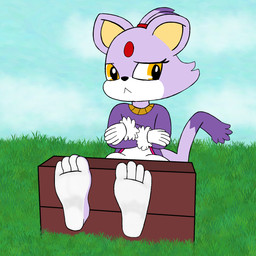 anthro barefoot bdsm bondage bound clothed clothing feet female foot_focus fully_clothed fur looking_away nervous outside purple_body purple_fur restraints simple_background solo stocks ticklebunny sega sonic_the_hedgehog_(series) blaze_the_cat domestic_cat felid feline felis mammal 1:1 digital_media_(artwork) hi_res