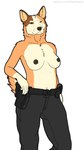 anthro areola australian belly breasts clothed clothing duty_belt female glock_17 gun hand_on_hip hand_on_weapon handgun looking_at_viewer mature_female medium_breasts navel nipples no_shirt partially_clothed partially_clothed_anthro partially_clothed_female pepper_spray pistol pistol_holster ranged_weapon shirtless shirtless_anthro shirtless_female solo tactical_belt tactical_gear tactical_pants topless topless_anthro topless_female weapon rebeldragon101 bluey_(series) chilli_heeler australian_cattle_dog canid canine canis cattledog domestic_dog herding_dog mammal pastoral_dog 9:16 hi_res