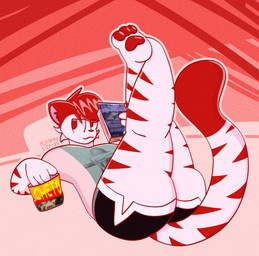 anthro bed black_bottomwear black_clothing black_shorts book bottomwear clothing crossed_legs dolphin_shorts eyebrow_through_hair eyebrows food fur furniture hair holding_book holding_object legs_up looking_offscreen lying male on_back on_bed pawpads print_clothing print_shirt print_t-shirt print_topwear raised_eyebrow reading red_eyes red_hair red_pawpads red_stripes shirt shorts simple_background smile solo stripes t-shirt tail thick_thighs topwear translucent translucent_hair white_body white_fur rojocatto rojo_(rojocatto) felid feline mammal hi_res watermark