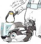 anthro bodily_fluids bound cum dominant dominant_male duo_focus fist_bump genital_fluids gesture group male male/male nude simple_background size_difference standing submissive submissive_male text conditional_dnp mej dreamworks madagascar_(series) north_wind the_penguins_of_madagascar agent_classified corporal_the_polar_bear bear mammal polar_bear ursine 2015 english_text