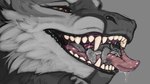 ambiguous_gender anthro black_lips bodily_fluids brown_eyes drooling duo eyes_closed fangs fur grey_background grey_body grey_fur in_mouth lips looking_pleasured male micro nude red_tongue saliva saliva_on_tongue saliva_string simple_background teeth tongue vore acidic mythology canid canine dragon furred_dragon furred_scalie mammal mythological_creature mythological_scalie scalie 16:9 tagme widescreen