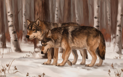 birch_tree black_gums black_nose detailed_background detailed_fur duo feral forest fur grey_body grey_fur markings plant quadruped snow tan_markings tree whisker_spots white_underside yellow_eyes alexpahomov canid canine canis mammal wolf 2023 detailed digital_media_(artwork) digital_painting_(artwork) painting_(artwork)