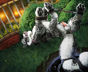 anal anal_penetration animal_genitalia balls black_pawpads bound buttplug buttplug_in_ass buttplug_insertion erection feral fur genitals grass male object_in_ass pawpads penetration penis pink_penis plant plug_(sex_toy) plug_insertion sex_toy sex_toy_in_ass sex_toy_insertion sheath solo white_body white_fur venlightchaser kieran_(homphs) felid mammal pantherine snow_leopard 2025 hi_res