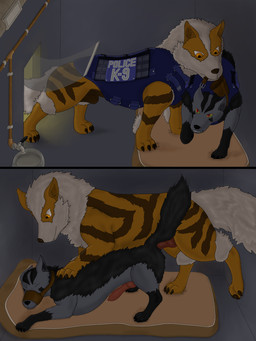 anal anal_penetration animal_genitalia animal_penis canine_genitalia canine_penis clothing duo erection feral genitals inside knot male male/male male_penetrated male_penetrating male_penetrating_male muzzle_(object) muzzled penetration penis police police_dog sex sheath text text_on_clothing text_on_topwear text_on_vest topwear vest saja1222 nintendo pokemon arcanine canid canine generation_1_pokemon generation_3_pokemon mammal mightyena pokemon_(species) 3:4 english_text hi_res