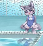 anthro blush butt clothed clothing clothing_aside crouching female female_anthro fence flat_chested fur genitals grey_body grey_fur grey_hair hair innie_pussy kemono one-piece_swimsuit open_mouth purple_eyes pussy school_swimsuit solo spread_legs spreading swimming_pool swimwear swimwear_aside text young young_anthro young_female puniwanko nadia_(littlebranch) canid canine canis mammal wolf absurd_res english_text hi_res