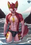 abs anthro black_nose brown_hair bulge chest_tuft clothed clothing countershading front_view fur green_eyes hair inner_ear_fluff male multicolored_body multicolored_fur muscular muscular_anthro muscular_male navel nipples outside pubes public short_hair skimpy smile solo speedo swimwear topless tuft water zeta-haru jz-jake canid canine canis domestic_dog husky mammal nordic_sled_dog spitz 2017 portrait signature three-quarter_portrait watermark