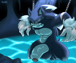 abs anthro balls big_balls big_penis bound chain chained foreskin genitals huge_balls huge_penis male muscular muscular_anthro muscular_male penis solo water flamez sega sonic_the_hedgehog_(series) sonic_unleashed sonic_the_hedgehog sonic_the_werehog eulipotyphlan hedgehog mammal werecreature wereeulipotyphlan werehog hi_res