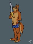 5_toes anthro barefoot blue_clothing blue_swimming_trunks blue_swimwear brown_body brown_fur clothed clothing feet fur grey_background hand_behind_back holding_melee_weapon holding_object holding_sword holding_weapon looking_at_viewer male melee_weapon multicolored_body multicolored_fur notched_ear plantigrade shorts_only simple_background smile solo standing swimming_trunks swimwear sword tail tan_body tan_fur toes topless two_tone_body two_tone_fur weapon k-9 disney talespin don_karnage canid canine canis mammal wolf 2021 hi_res signature