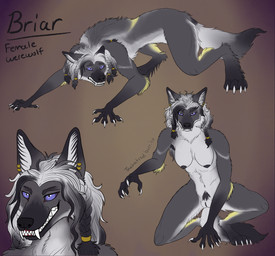 all_fours anthro braided_hair crouching fangs female grey_body grin hair long_hair markings piercing purple_eyes scared smile solo teeth yellow_markings thehatredburrito mythology canid canine mammal mythological_canine mythological_creature werecanid werecanine werecreature werewolf hi_res model_sheet