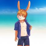 abs anthro athletic athletic_male beach bodily_fluids bulge clothed clothing male muscular muscular_young open_clothing open_shirt open_topwear pecs sea seaside seductive shirt solo sweat topwear water young young_anthro young_male sharparadise lagomorph leporid mammal rabbit 1:1 hi_res