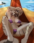 anthro beach big_breasts bikini bite biting_lip biting_own_lip bodily_fluids breasts camel_toe cleavage clothed clothing detailed_background female half-closed_eyes hammock lips narrowed_eyes navel nipple_outline outside sand seaside self_bite solo spread_legs spreading stripes sweat swimwear two-piece_swimsuit geeflakes kinyua equid equine mammal zebra 2015 hi_res