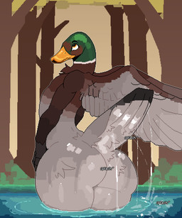 anthro beak big_butt bottom_heavy butt feathered_wings feathers huge_butt huge_hips huge_thighs male nude_male partially_submerged plant solo tail tail_feathers thick_thighs tree water wide_hips wings mertvykhcrows anas anatid anseriform avian bird dabbling_duck duck mallard 5:6 absurd_res digital_media_(artwork) hi_res pixel_(artwork)