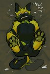 anthro bdsm blush butt discipline feet foot_fetish foot_play genitals male nude offscreen_character penis petplay roleplay simple_background solo submissive tail text openfracturesday canid canine mammal absurd_res digital_media_(artwork) english_text hi_res