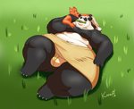 anthro bamboo bulge clothed clothing duo fur grass hair larger_male lying male moobs multicolored_body multicolored_fur obese obese_anthro obese_male on_ground overweight overweight_anthro overweight_male paws plant size_difference smaller_male thick_thighs topless underwear kazecat makuyama_(kazecat) pin_e_apples bear canid canine fox giant_panda mammal digital_media_(artwork)