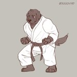 anthro clothing karate karate_outfit male martial_arts muscular muscular_anthro muscular_male solo sport 3000vnd canid canine canis domestic_dog mammal 1:1