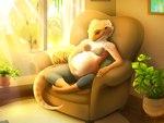 anthro belly big_belly bottomwear bra breasts chair clothing countershading crossed_legs eyelashes female furniture hand_on_belly inside light looking_at_viewer nails non-mammal_breasts pants plant pregnant pregnant_anthro pregnant_female scales sitting smile solo sunlight tail underwear vase yellow_body yellow_scales pig_(artist) allison_(slither) agamid bearded_dragon lizard reptile scalie