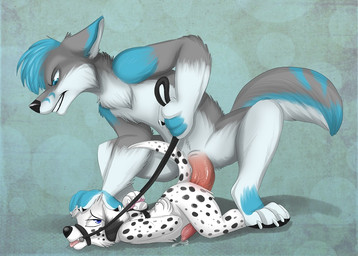 4_toes 5_fingers age_difference anal anal_orgasm anal_penetration animal_genitalia animal_penis anthro anthro_on_anthro anthro_penetrated anthro_penetrating anthro_penetrating_anthro balls bdsm biped bit_gag black_nose black_spots blue_body blue_fur blue_hair blue_tail bodily_fluids bondage bound canine_genitalia canine_penis cheek_tuft chest_tuft claws crouching cum cum_on_ground cum_while_penetrated dipstick_ears dominant dominant_male duo ear_markings ejaculation erection eyebrows facial_tuft feet fingers from_behind_position fur gag gagged genital_fluids genitals gloves_(marking) grey_body grey_fur grey_tail hair half-closed_eyes halter hand_on_head hands-free hands_behind_back hands_tied harness harness_bit_gag harness_gag head_grab holding_leash holding_object larger_dom larger_male leash looking_back looking_down lying male male/male male_penetrated male_penetrating male_penetrating_male markings multicolored_body multicolored_ears multicolored_fur multicolored_tail muzzle_(object) muzzled narrowed_eyes nude older_male on_front orgasm penetration penile penile_penetration penis penis_in_ass pink_penis pink_tongue sex short_hair size_difference smaller_male smaller_penetrated spots spotted_body spotted_fur spotted_markings spotted_tail submissive submissive_male tail tail_markings teeth toe_claws toes tongue tongue_out tuft white_body white_fur white_tail young young_anthro younger_male younger_penetrated jackaloo murcat pup_(pup1k) canid canine canis dalmatian domestic_dog mammal wolf