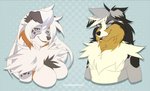 anthro blue_eyes breasts clothed clothing featureless_breasts female fur smile white_body white_fur lapres australian_shepherd canid canine canis collie domestic_dog herding_dog mammal pastoral_dog rough_collie sheepdog 2021 digital_media_(artwork)