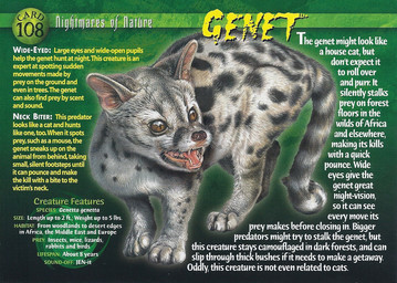 ambiguous_gender english_text feral fur genet mammal open_mouth sharp_teeth solo spots standing teeth text tongue
Rating: Safe
Score: 0
User: Åndensvampyr
Date: April 24, 2014