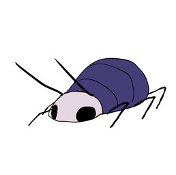 ambiguous_gender animated_gif antennae_(anatomy) black_eyes feral quadruped simple_background solo white_background kpjr get_stickbugged_lol hollow_knight:_silksong hollow_knight_(franchise) team_cherry arthropod skrill_(hollow_knight:_silksong) 2025 animated short_playtime