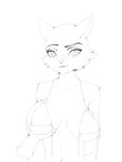 anthro bounce bra breasts clothing female solo underwear joelanimation domestic_cat felid feline felis mammal 3:4 animated short_playtime sketch