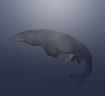 erection feral genitals male penis simple_background solo tapering_penis throbbing throbbing_penis water nakatakoi marine mosasaur mosasaurus prehistoric_species reptile scalie animated hi_res no_sound short_playtime webm