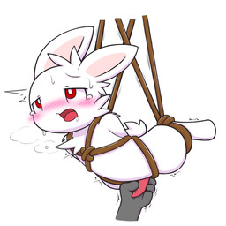 animal_genitalia animal_penis anthro bdsm blush bodily_fluids bondage bound chibi duo ejaculation erection fur genitals handjob looking_pleasured male orgasm orgasm_face penile penis sex tears white_body white_fur young young_anthro young_male bubbluechy lagomorph leporid mammal rabbit 1:1