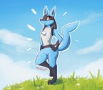 2020 ambiguous_gender anthro black_body blue_body clothed clothing detailed_background digital_media_(artwork) enginetrap flower generation_4_pokemon grass hand_on_hip hi_res lucario nintendo outside partially_clothed plant pokemon pokemon_(species) shaded signature sky smile solo standing tail text