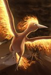 ambiguous_gender beak fire flaming_hair flaming_tail flaming_wings flying pseudo_hair smoke solo tail text unusual_anatomy unusual_wings volcano wings butt-berry nintendo pokemon generation_1_pokemon legendary_pokemon moltres pokemon_(species) hi_res signature url