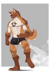 anthro big_bulge bulge claws clothed clothing fart fart_cloud fart_fetish gassy male male_farting manly muscular muscular_male partially_clothed raised_leg raised_tail solo tail underwear underwear_only muying canid canine canis domestic_dog german_shepherd herding_dog mammal pastoral_dog hi_res