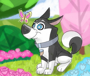 black_body black_ears black_fur black_nose blue_collar blue_ears butterfly_on_nose collar duo fang_necklace feral fur male pointy_ears prick_ears tail tail_tuft toony tuft white_body white_fur white_paws danukistudio 101_dalmatian_street 101_dalmatians disney hansel_(101_dalmatians) arthropod butterfly canid canine canis domestic_dog husky insect lepidopteran mammal nordic_sled_dog spitz hi_res