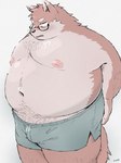 anthro belly big_belly blush bulge clothing eyewear glasses kemono male moobs navel nipples overweight overweight_male simple_background solo underwear uokkom canid canine canis domestic_dog mammal 2024 hi_res