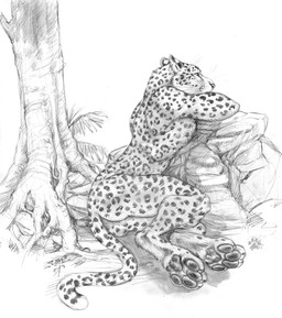 anthro butt head_on_arm leaning leopard_spots looking_aside male nude nude_anthro nude_male pawpads paws plant rock simple_background sitting solo spots tail tree whisker_spots whiskers white_background blotch scratches_volume_2 felid leopard mammal pantherine 2008 hi_res monochrome signature traditional_media_(artwork)