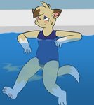 2018 absurd_res anthro blue_eyes blush bodily_fluids bulge clothed clothing domestic_cat felid feline felis front_view fur genital_fluids hi_res hindpaw looking_pleasured male male_peeing mammal multicolored_body multicolored_fur omorashi one-piece_swimsuit pawpads paws peeing peeing_in_pool peeing_underwater ritz_(ritzcat) ritzcat solo swimming_pool swimwear two_tone_body two_tone_fur urine water watersports white_body white_fur yellow_body yellow_fur