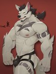 abs anthro areola bulge clothing hair jockstrap looking_at_viewer male muscular muscular_anthro muscular_male navel nipples simple_background solo underwear white_body munax_od canid canine canis mammal wolf dated hi_res