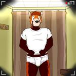 1:1 ailurid anthro blue_eyes briefs bulge clothed clothing coat_hook fitting_room fourplex front_view fuze hair hi_res inside looking_at_viewer male mammal one_way_mirror overweight overweight_anthro overweight_male recording red_hair red_panda shirt solo standing t-shirt tighty_whities topwear underwear vignette white_briefs white_clothing white_shirt white_topwear white_underwear